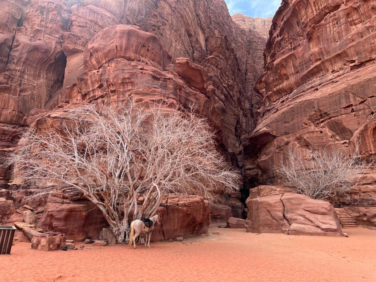 Golden Day Hotel Wadi Rum Luaran gambar