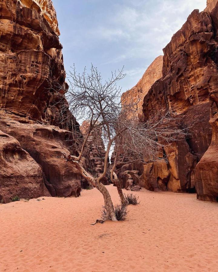 Golden Day Hotel Wadi Rum Luaran gambar