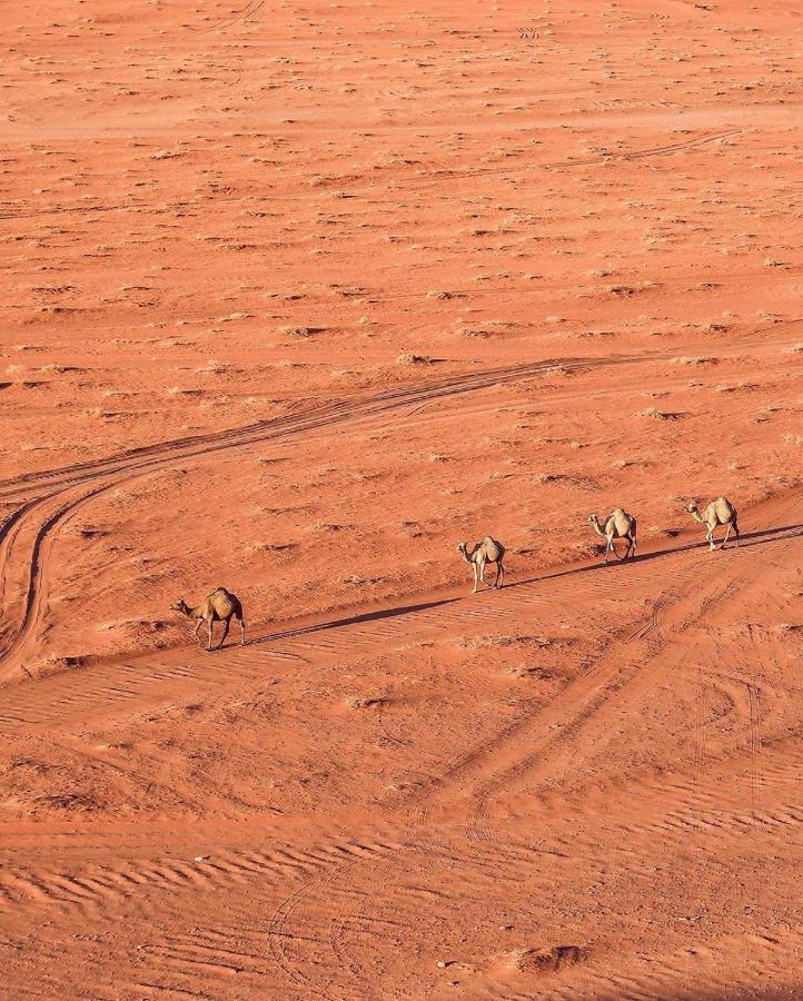 Golden Day Hotel Wadi Rum Luaran gambar